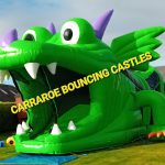 GREEN DRAGON OBSTACLE COURSE