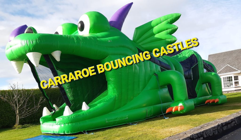 Green Reptile Bouncy Castle for hire in Galway, Connemara and Carraroe by Carraroe Bouncing Castles