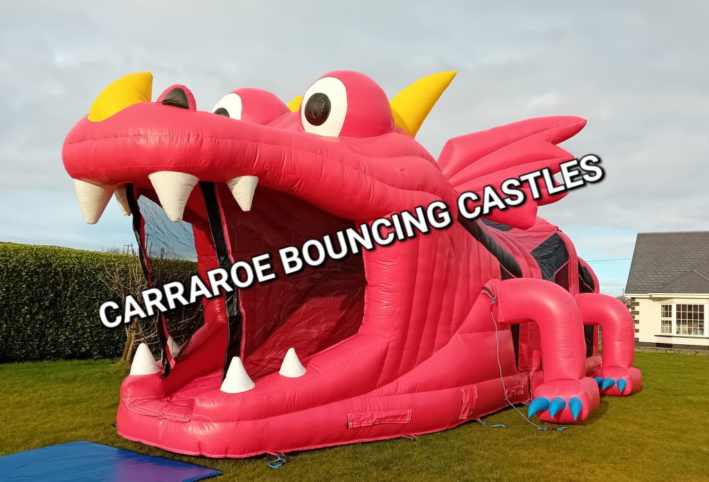 Red Reptile bouncy castle with slide for children’s parties in Galway and Connemara